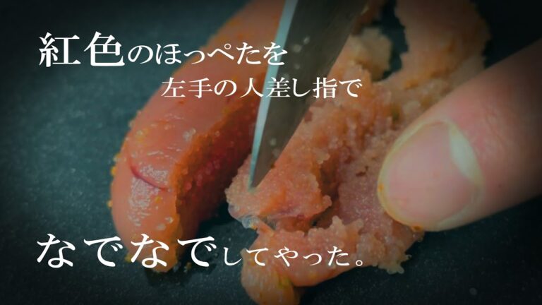 【悲惨】公園で明太子と遊んで焼きおにぎりを作る男【レシピ】