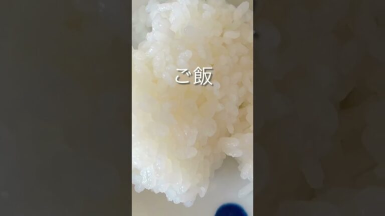 【離乳食中期】生後8〜9ヶ月のチキントマトリゾット