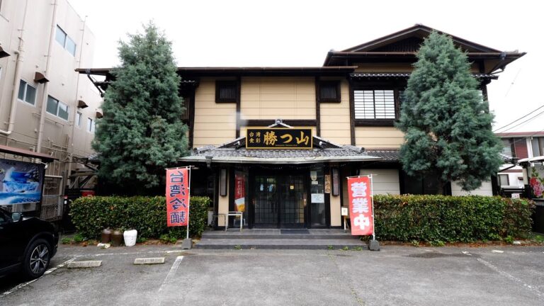 久留米）炒飯！ラーメン！鮮やかな鍋さばきが炸裂するポツンと中華料理食堂！丨Japanese Street Food