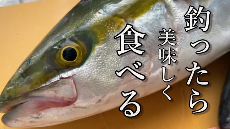 【釣りするイタリアンシェフ】牛深沖・タイラバで釣れたブリで簡単燻製