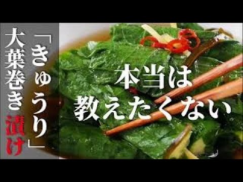 【きゅうりで簡単】夏野菜でさっぱり　きゅうりと大葉のお漬物