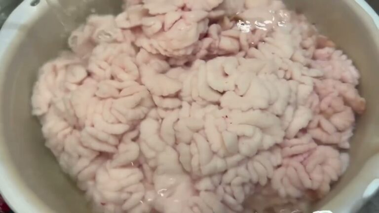 video postcards 鱈ちり