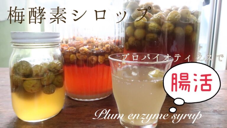 【梅酵素シロップの作り方】材料２つだけ！梅と糖でスキッと美味しい酵素を作って暑い夏を乗り切ろう！Plum enzyme syrup｜#梅シロップ #酵素ドリンク #発酵食品 #梅酵素