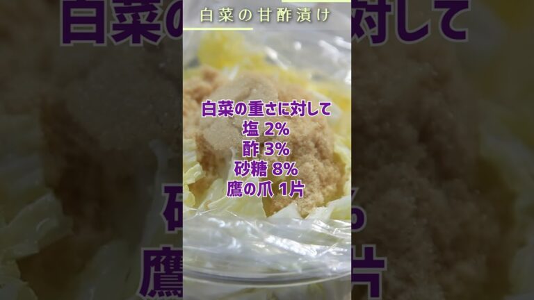 3分揉むだけで美味しく食べれる！白菜の甘酢漬けの作り方  #Shorts