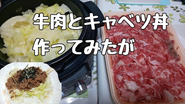 【晩ごはん】牛肉キャベツ丼作ってみたが...#shorts