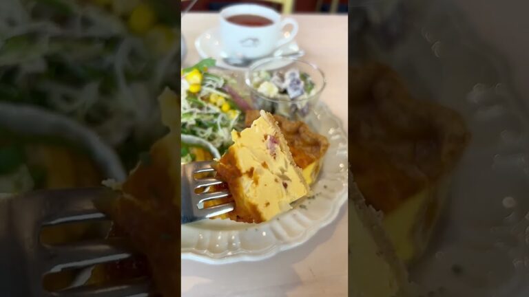 卵とクリームチーズを使った生地でふんわりなめらかな食感に仕上がったキッシュは絶品！#shorts #新潟 #yummy