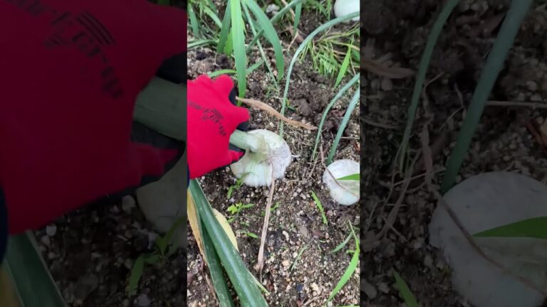 これぞ元おデブ女子高生が半年間待ち望んでいた瞬間❗️