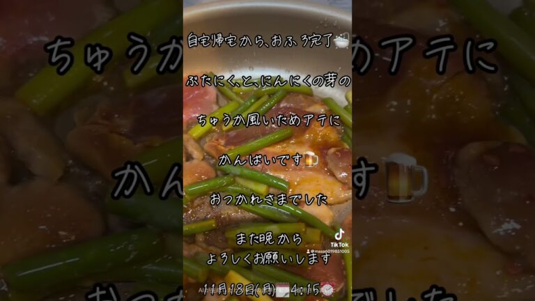 #晩酌 #酒 #豚肉 #ニンニクの芽 #中華風炒め #キッチンドリンカー #のんべえの日常 #ヒカキンボイス