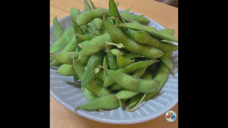 【生が一番^ ^】生の枝豆が食べられる季節です。【9月までは冷凍枝豆禁止。茹でる前に塩で揉んで2時間置いとくのを忘れずに】
