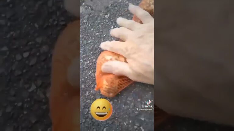 里芋の簡単な皮むき