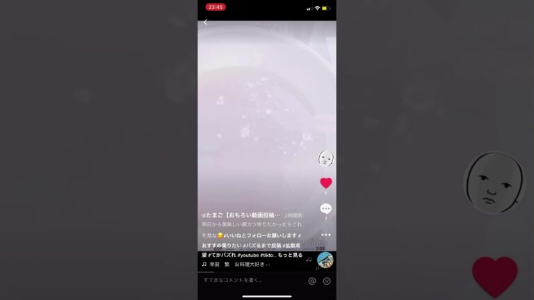 え？美味しい豚カツの作り方が知りたいって？ならこの動画を見なさい😏