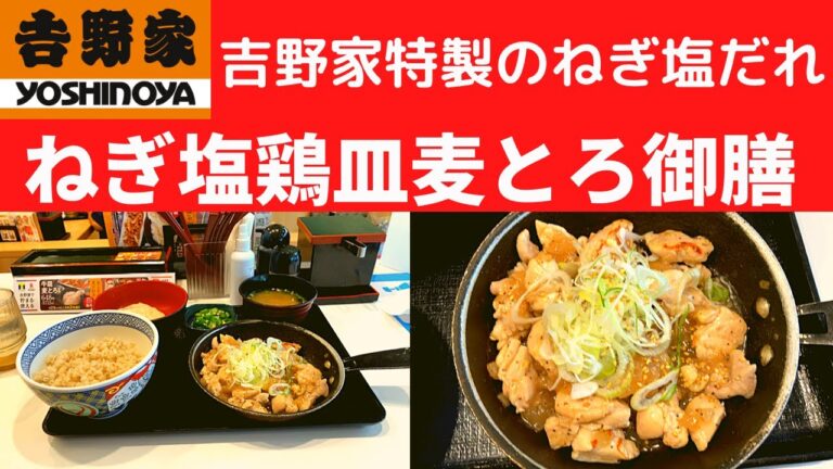 【人類が作った最高傑作の動画】吉野家 ねぎ塩鶏皿麦とろ御膳