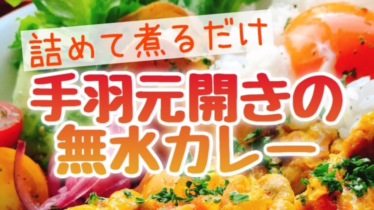 手羽元開きの無水カレー