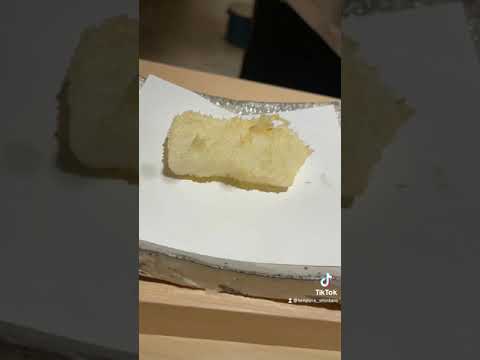 アオリイカの天風良#にい留