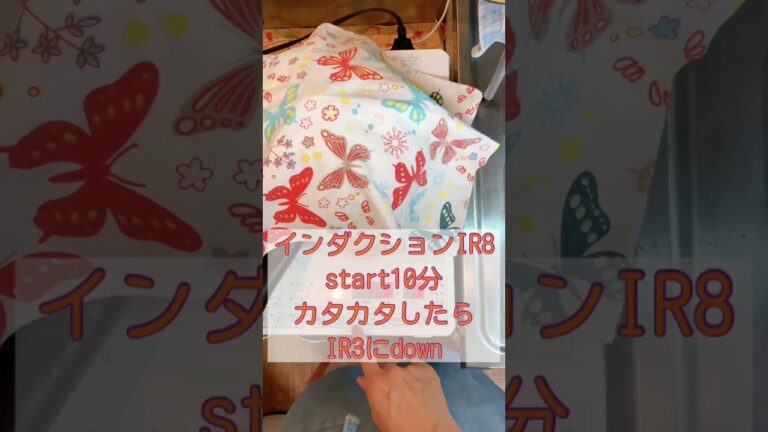 ナス🍆トマト🍅カレー🍛　ぱぱっと作って　モリモリ食べるよ　野菜の栄養モリモリ😋