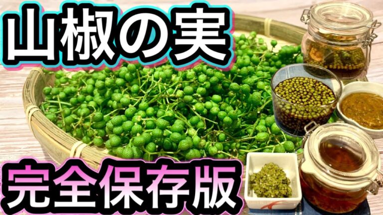 【実山椒の活用法】保存法や便利な作り置き調味料！胃腸の機能を高めて夏バテ防止