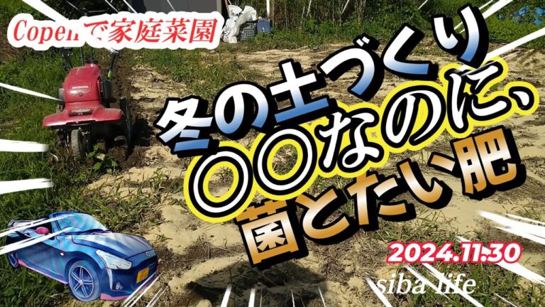 【soil however 冬の土づくり】○○なのに、菌とたい肥、育て方  家庭菜園  2024.11.30 siba life #土づくり  #育て方 #収穫 ・