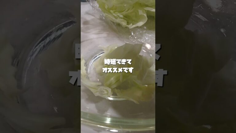 【レンチン塩ダレキャベツ】調理師免許持ちアラサー夫が作るカンタン夫婦ごはん#料理#料理男子 #料理動画 #かんたんレシピ #キャベツ #おつまみ #献立 #時短レシピ #レンチンレシピ