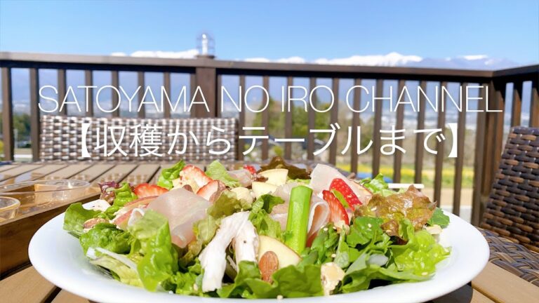 【無農薬レタスの弾力がヤバイ!!パワーサラダ】自社農園収穫からサラダ完成まで一挙公開！