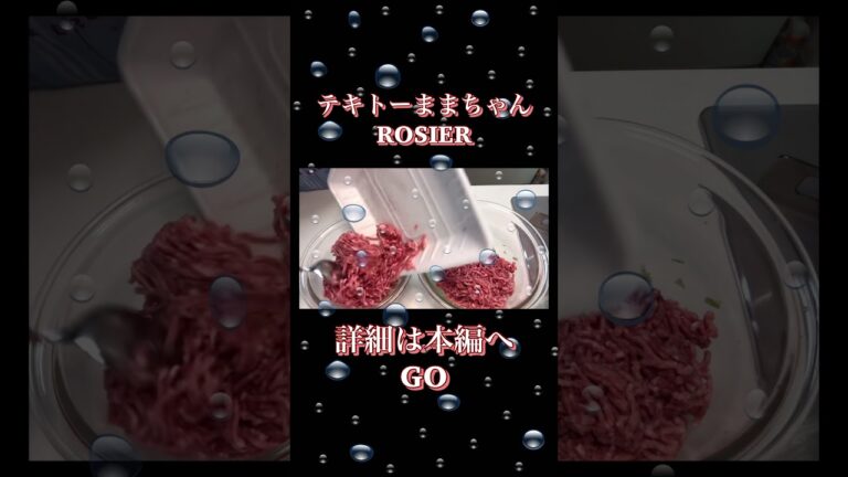 【弁当用冷食自作】豚ひき肉のつくねバーグ2種