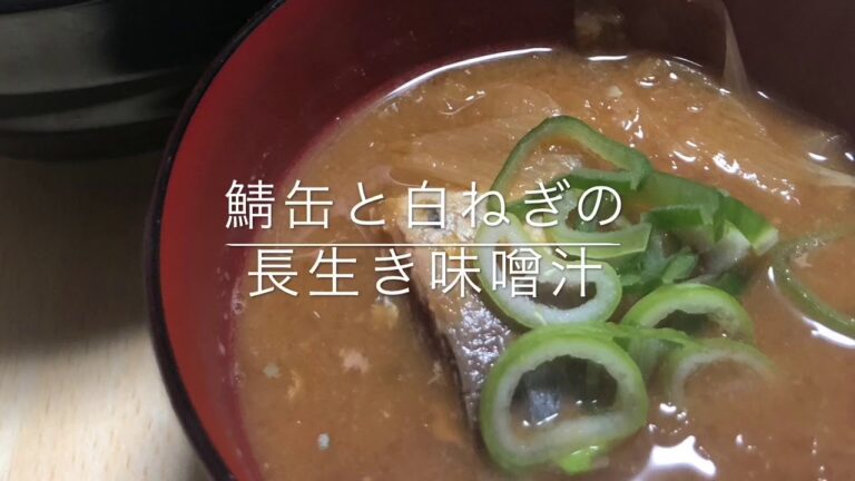 【サバ缶】鯖缶と白ねぎの長生き味噌汁