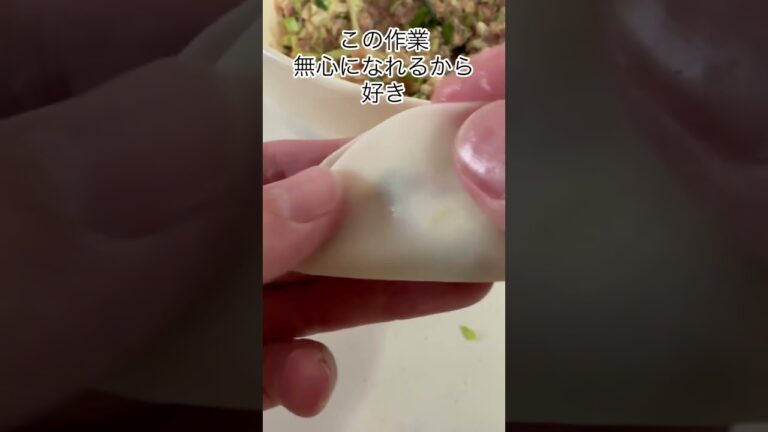 【餃子】100g78円で購入した豚ひき肉料理。２日目。#料理 #料理動画 #豚ひき肉