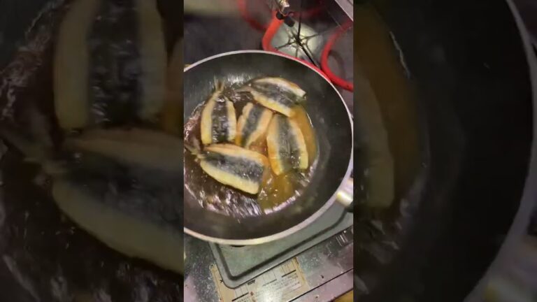 いわしの蒲焼き作ってみました#料理 #楽しい #美味しい #魚