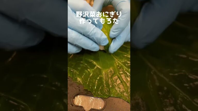 野沢菜おにぎり作ってもろた #Shorts #野沢菜 #おにぎり