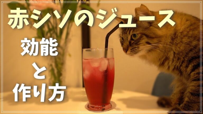 簡単！赤シソジュースの作り方とダイエットや美肌などの効能や栄養素について解説します。