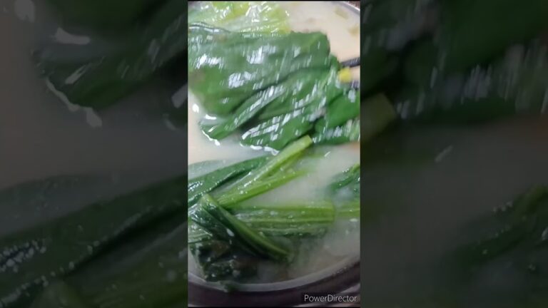 ほうれん草味噌汁に入れる派？入れない派？　今日の朝食　Do you put spinach in miso soup?　#shorts #ボンドウ