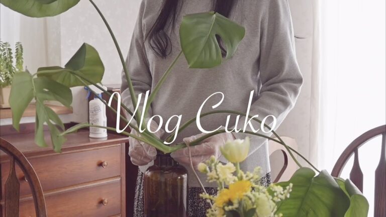 腸活にハマる主婦の食生活マイルール｜手放したこと｜モンステラの剪定