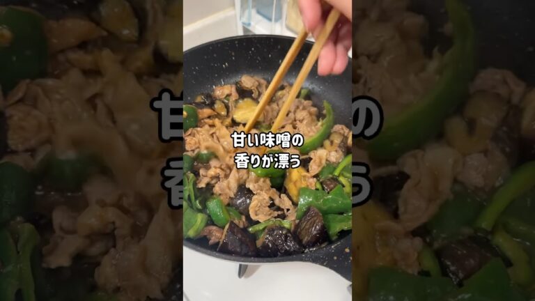 ナスとピーマンの味噌炒めで白米を無限に食べて筋肉痛を回復していく #ぐんぐんグルメ