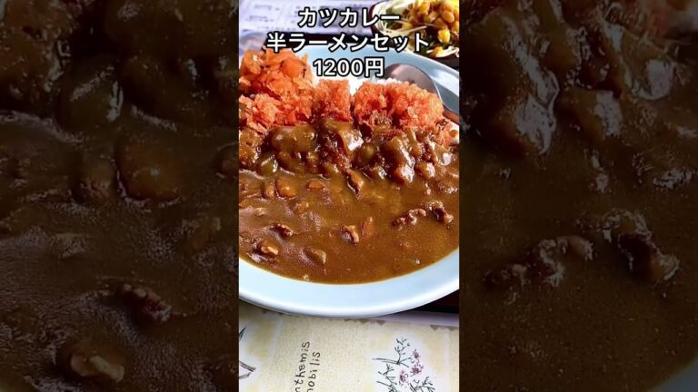※現在は営業してません ガッツリ！カツカレーと半ラーメンのセット【栃木県塩谷町】松川食堂【栃木グルメ】