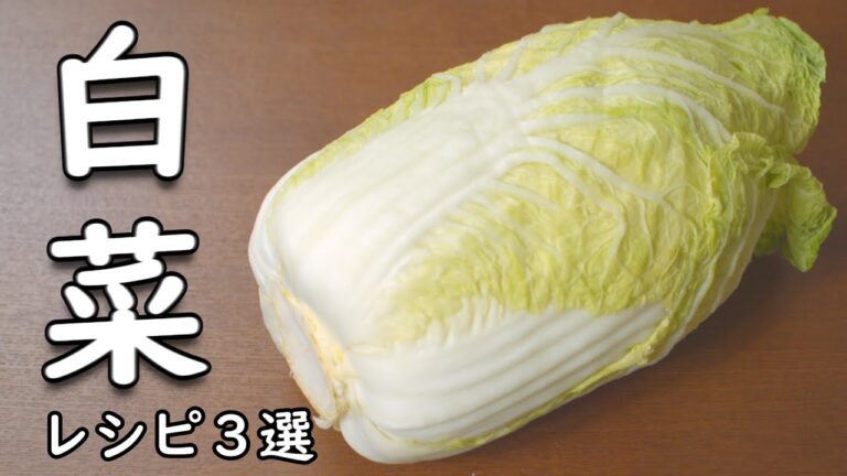白菜 レシピ 3選 素材をいかした 魅力の3品