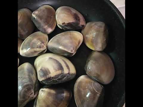 大きいハマグリの酒蒸し🎵