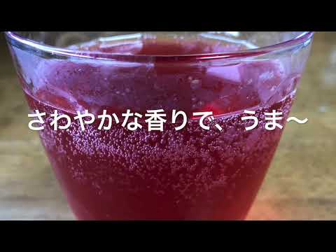 （しそ大量消費メニュー）赤紫蘇ジュース