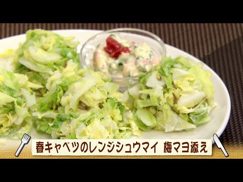 ナマなキッチン「春キャベツのレンジシュウマイ　梅マヨ添え」
