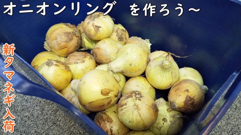 新玉ねぎのレシピ！山盛りオニオンリング食べまくり～食卓にもう一品！お酒のお供にも…血液サラサラ～【簡単家庭料理】