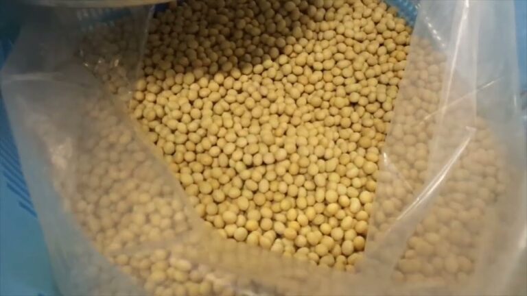 地場産大豆の五目豆