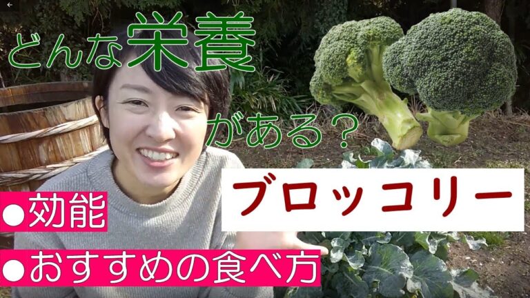 ブロッコリーの栄養価・効能・おすすめの調理法を管理栄養士が解説