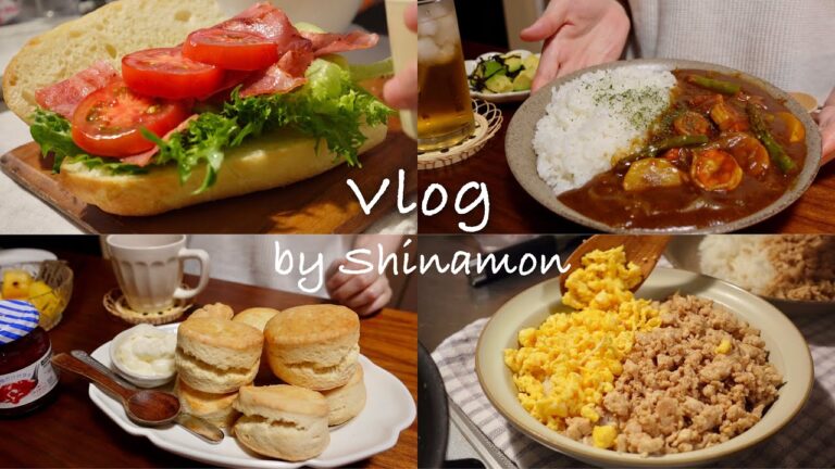 【食事vlog】海老カレーを作ってイングリッシュスコーンで夜のお茶会🫖🌙｜BLTサンドイッチ、そぼろ丼、豆乳プリン、バナナキウイジュース｜自炊記録｜アラサー