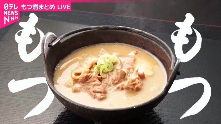 【もつ煮まとめ】ご飯との相性抜群！こだわりもつ煮込み / 名物食堂のやわらかもつ煮込み / 愛されて半世紀　鶏肉店のもつ煮込み　など　―― グルメニュースライブ（日テレNEWS LIVE）