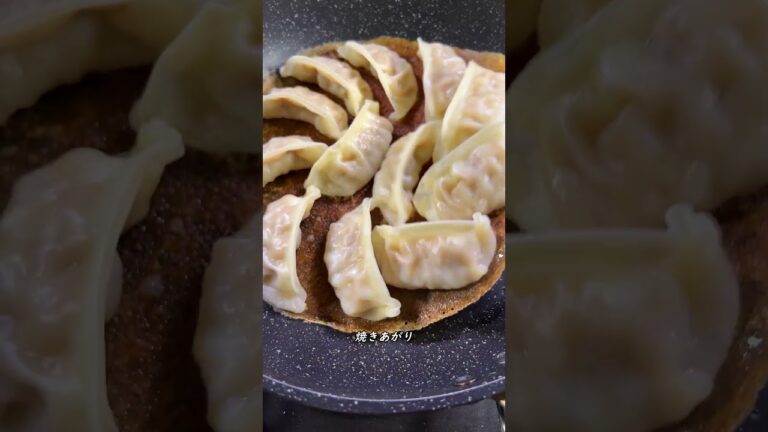 渾身作・餃子のタレ #shorts #dumplings