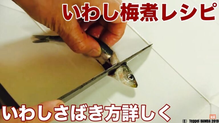いわし梅干し煮レシピ 頭と内臓の取り方も詳しくご紹介します