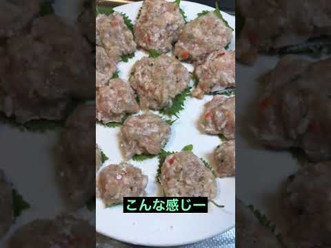 家庭菜園の青しそがいい感じになったので #shorts