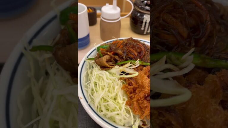 かつや新メニュー、プルコギとメンチカツの合い盛り丼が美味すぎる