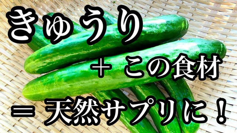 【血流改善】きゅうりにあれをプラスしてサプリ級にする方法と簡単作り置きレシピ3選