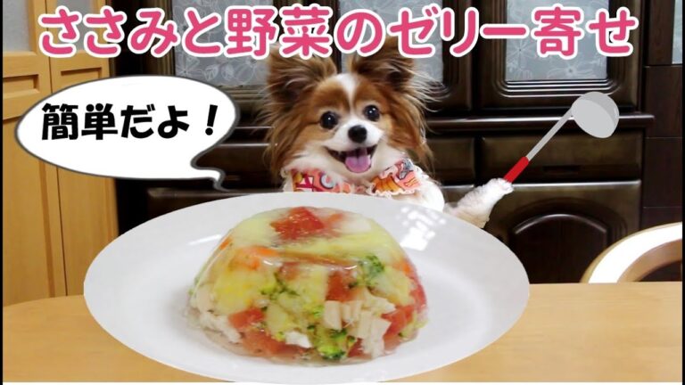 【犬ごはん】ささみと野菜のゼリー寄せ☆ アシスタントの犬が NG連発!!
