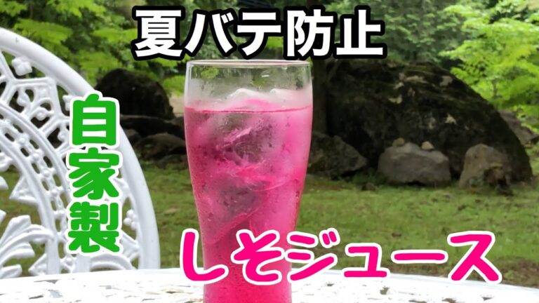 【しそジュースの作り方】夏バテ防止の水分補給に【しそジュース】
