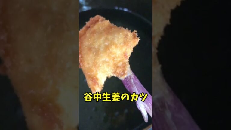 #Shorts　谷中生姜のカツ